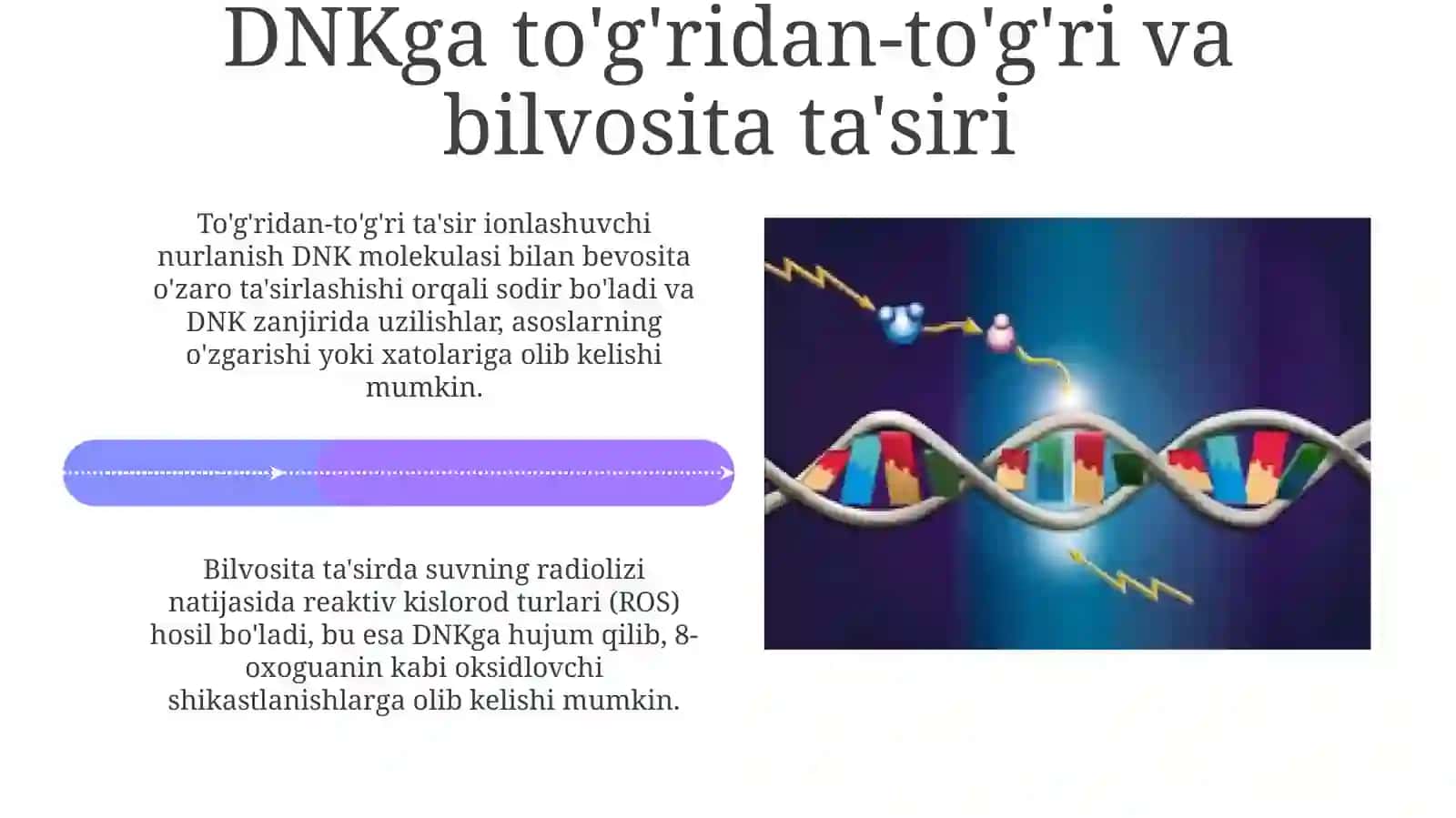 Ionlashtiruvchi nurlanishning ta'sir mexanizmi 4