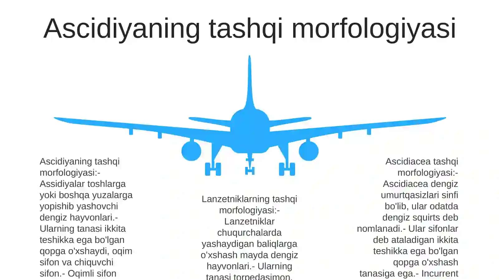 Assidiya Va Lansetniklarning Tuzilishi 4