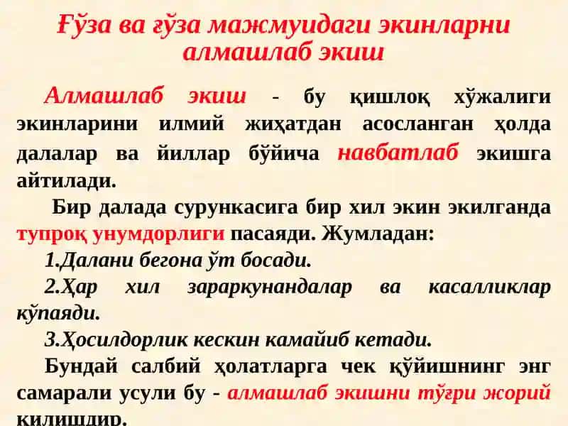 Пахтачиликда алмашлаб экиш, ерга асосий ишлов бериш системаси 4