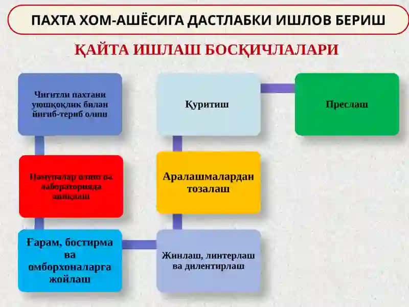 Пахта хом-ашёсини сақлаш технологияси 4