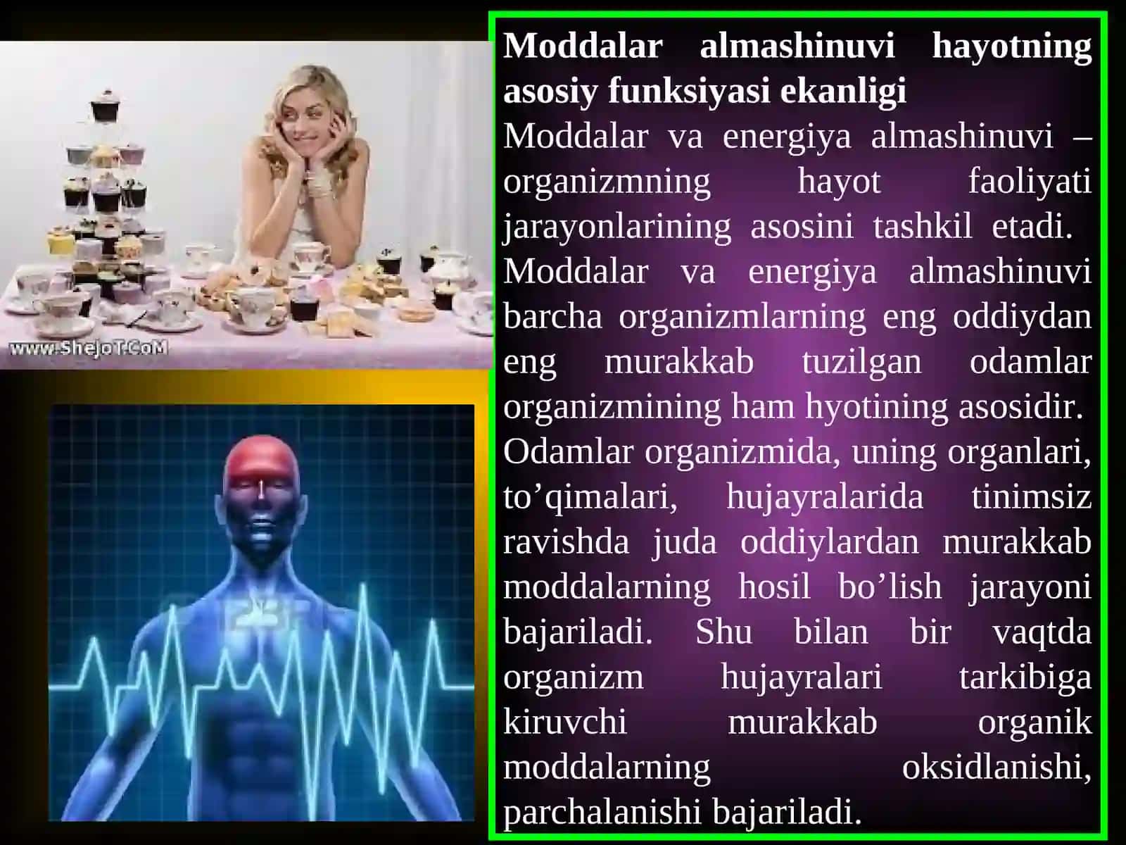 Bolalar organizmida modda va energiya almashinuvi 4