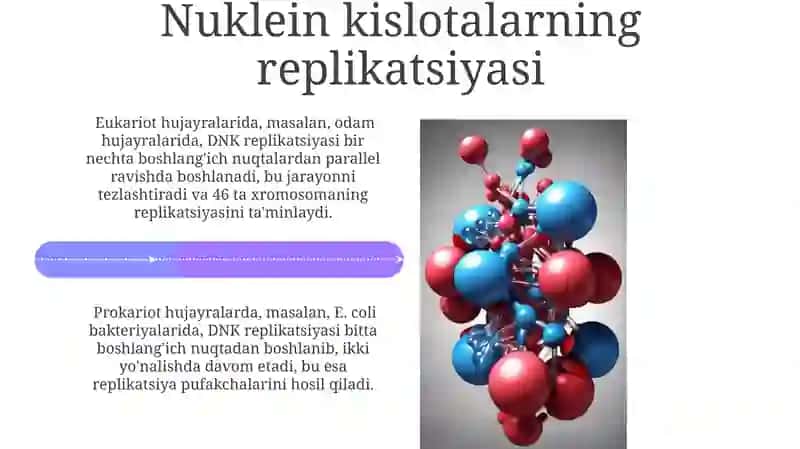 Nuklein Kislotalarning Tuzilishi va Ahamiyati 4