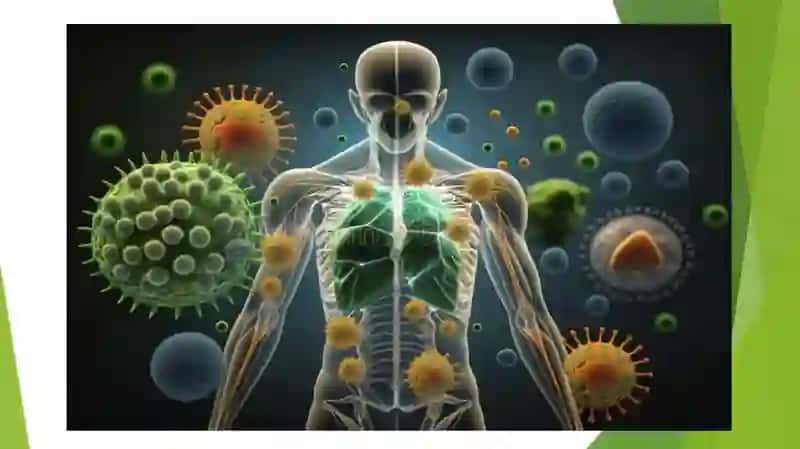 Immunopatologiya,Zamon klassifikasiyasi 4
