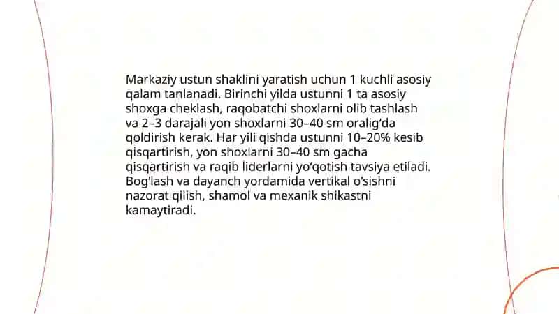 Meva koʻchatlariga shakl berish,ularni parvarish qilish by Haydarova Sitora 4
