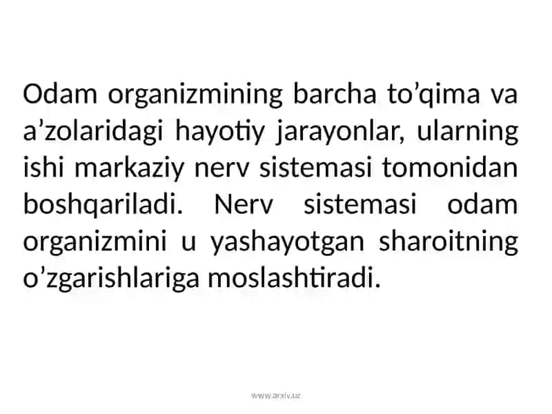 Nerv faoliyati tiplari, nerv sistemasi gigiyenasi 4