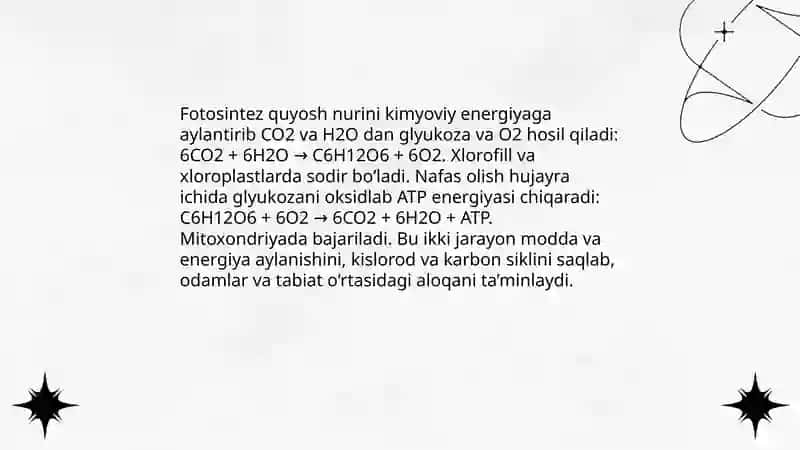 Ekosistemalarda modda va energiya oqimi 4