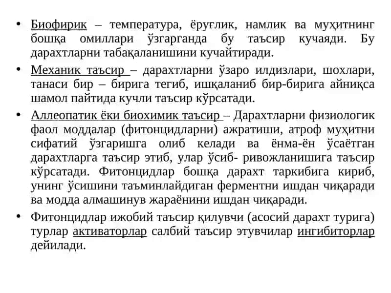 Ўрмонда дарахт турларини ўзаробир-бирига таъсири 4