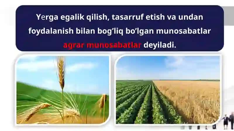 AGRAR MUNOSABATLAR VA AGROBIZNES 4