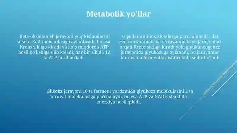 Ochlikda karbonsuvlar, yog‘lar va oqsillarning buzulishi 4