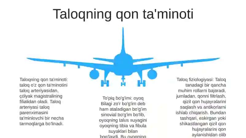 Taloqning Fiziologiyasi 4
