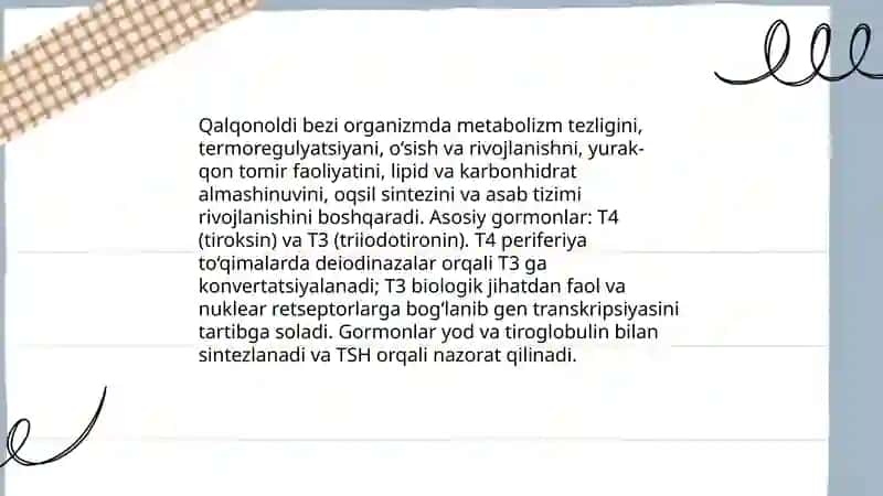 Qalqonoldi bezi anatomiyasi 4