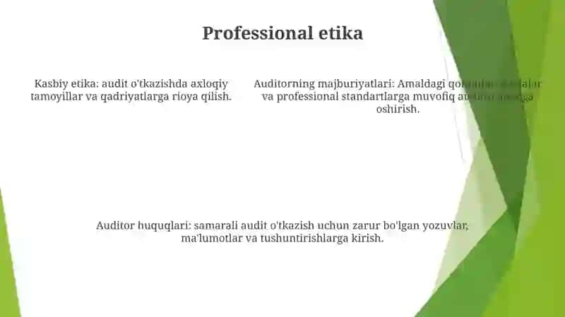 Auditorlik Tashkilotlarining Huquqlari Va Majburiyatlari 4