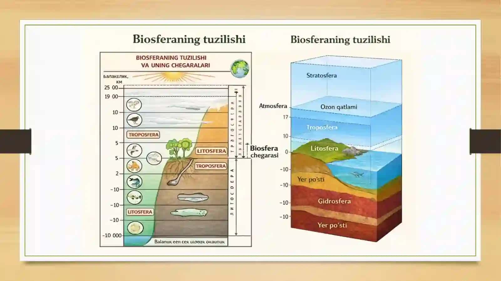 Biosfera, Biosfera haqida ta’limot. Iqlim o‘zgarishi va ekologik moslashuv. 4