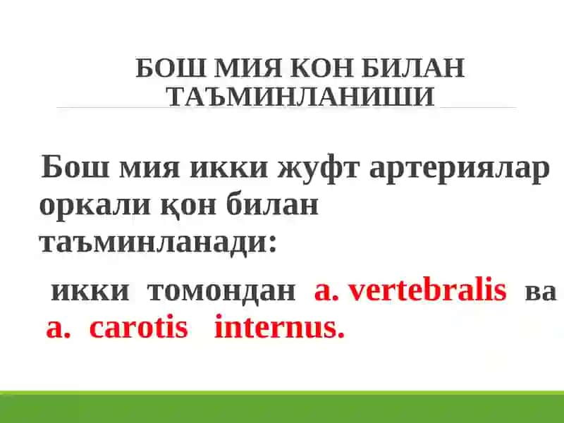 Бош мияқон-томиркасалликлари 4