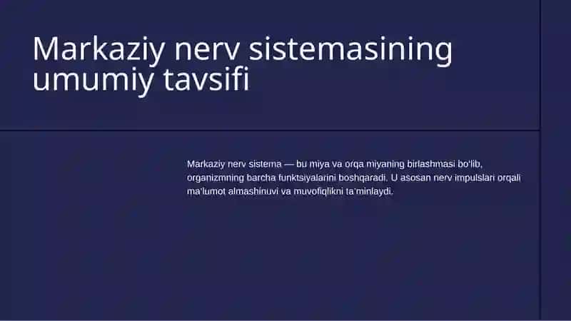 Atlas vatarqatmamateriallaryordamidamarkaziynervsistemasiorqamiyaningtuzilishivareflektorfunksiyasinio’rganish 4