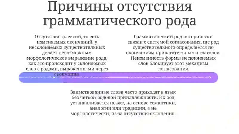 Род несклоняемых существительных 4