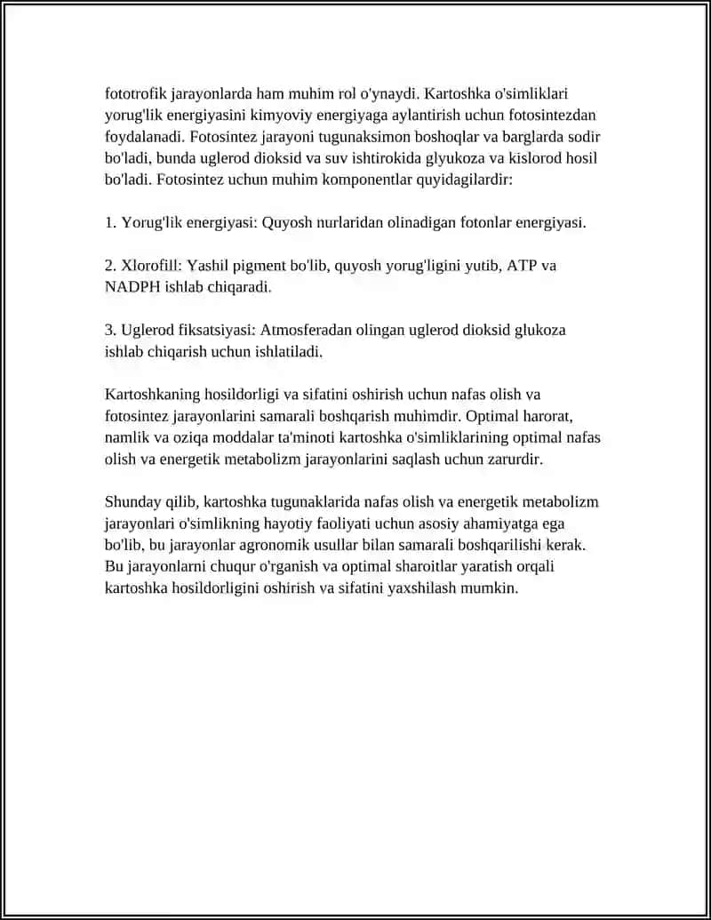 KARTOSHKA TUGUNAKLARIDAGI SAQLASH DAVOMIDA KECHADIGAN BIOKIMYOVIY JARAYONLAR 4