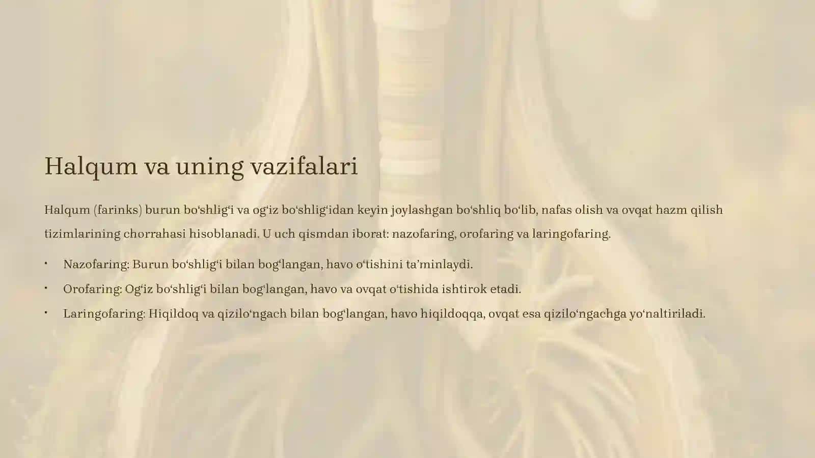 Nafas Yoʻllari Aʼzolari: Tuzilishi va Joylashishi 4