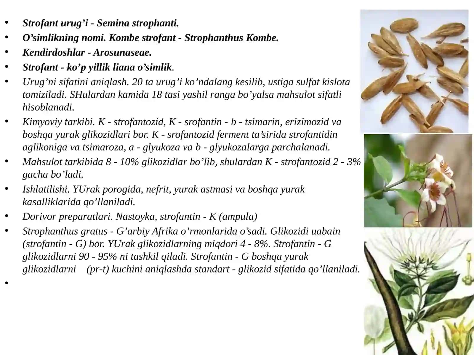 TARKIBIDA GLIKOZIDLAR VA YURAK GLIKOZIDLARI SAQLOVCHI DORIVOR O’SIMLIK VA MAHSULOTLAR 4