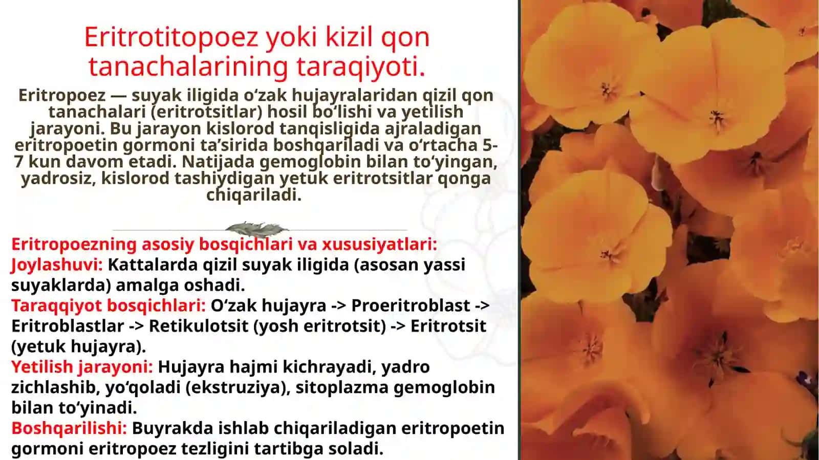 Qonyaratilishi jarayonining asosiy jihatlari 4