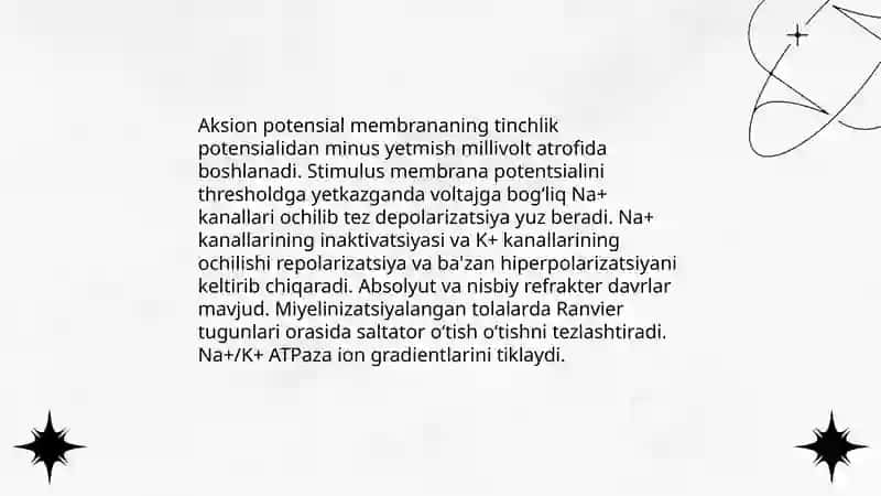 Nerv tolalari fiziologiyasi 4
