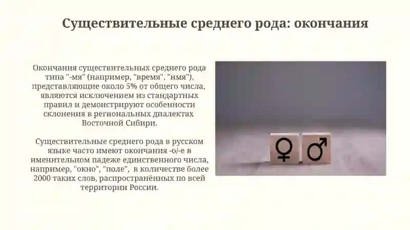 Определение рода имен существительных по значению и окончанию 4