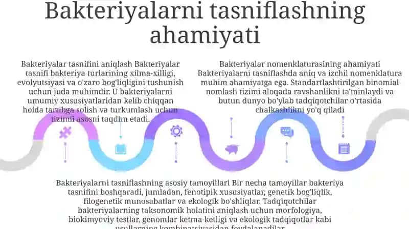 Bakteriyalarning Klassifikatsiyasi,Nomenklaturasi,Prinsiplari 4