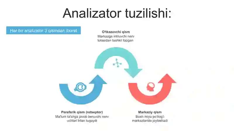 Analizatorlar haqida tushuncha 4