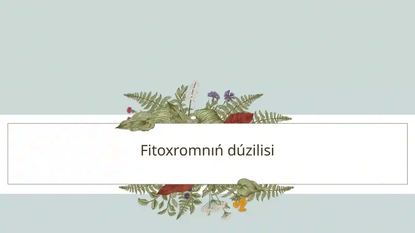 Fitoxrom sisteması jáne onıń ósimliklerdiń  ósiwi hám rawajlanıwındaǵı ornı 4