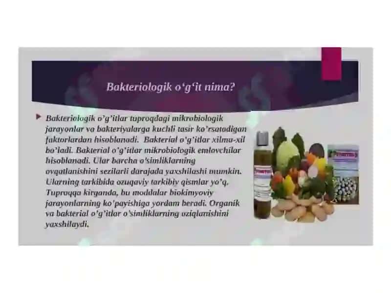 Bakteriologik o‘g‘itlar va ularning qo‘llanilishi 4