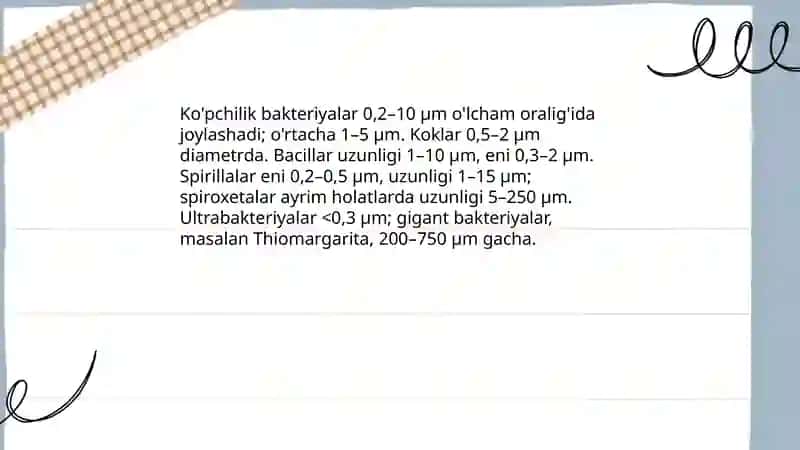 Bakteriyalar morfologiyasi. Mog’or zamburug’lari morfologiyasi. Achitqilarning morfologiyasi 4