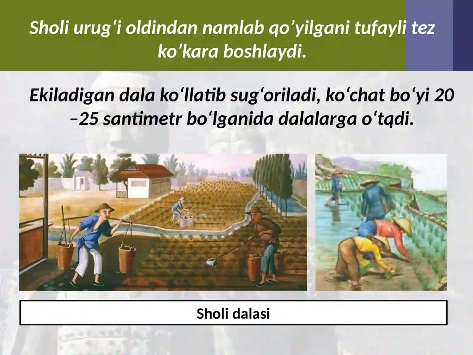 Xitoyning qadimgi civilizatsiyalari 4