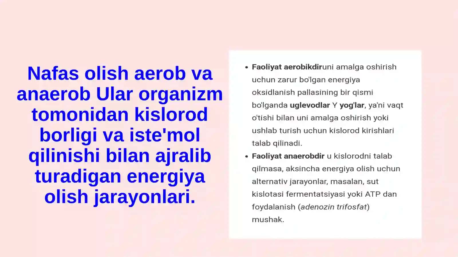 Anaerob jarayonlar orqali energiya hosil bo’lishi 4