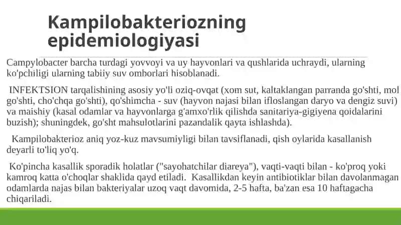 Kampilobakterioz 4