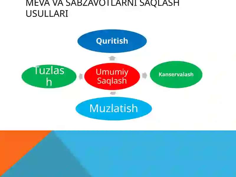Meva va sabzavotlarni zamonaviy saqlash texnologiyalari 4
