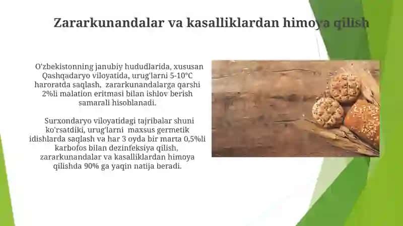 Urugʻlarni saqlash va hujjatlashtirish 4