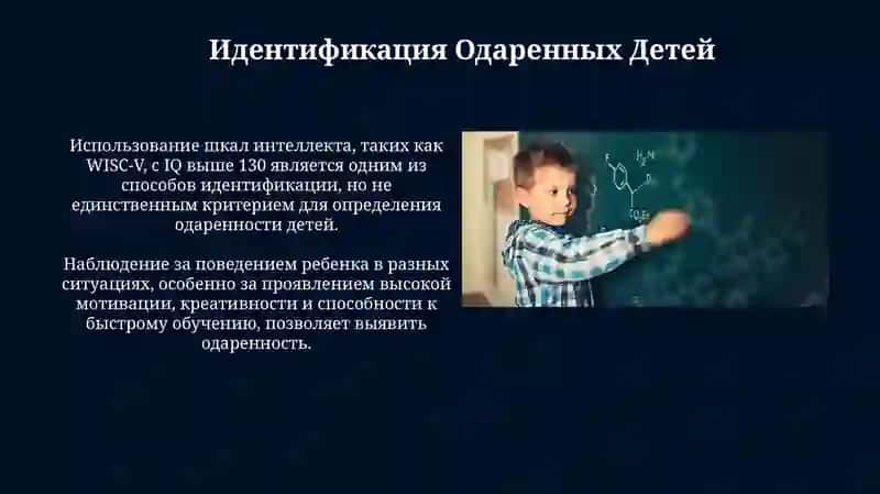 Определение и Теории Одаренности 4