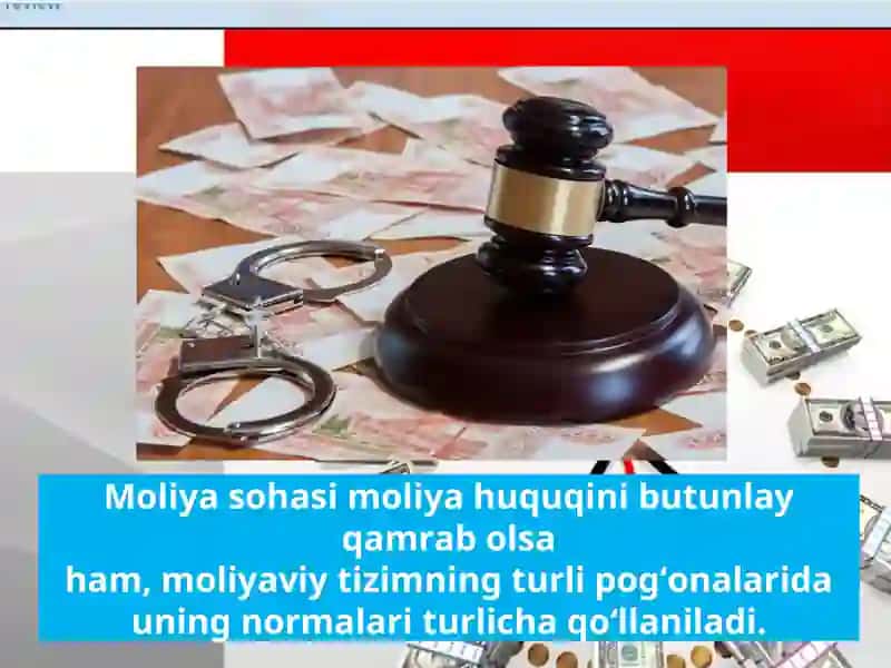 Moliya huquqi tushunchasi va predmeti 4