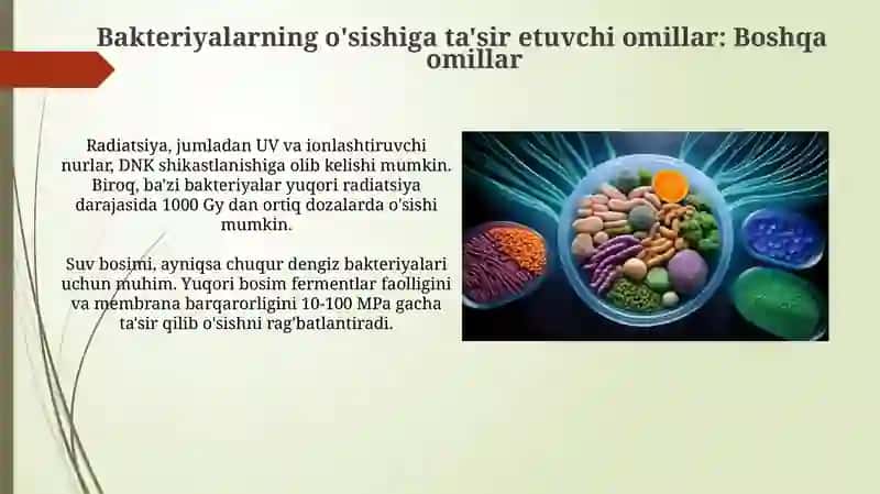 Bakteriyalar fiziologiyasi kimyoviy tarkibi oziqlanishi 4