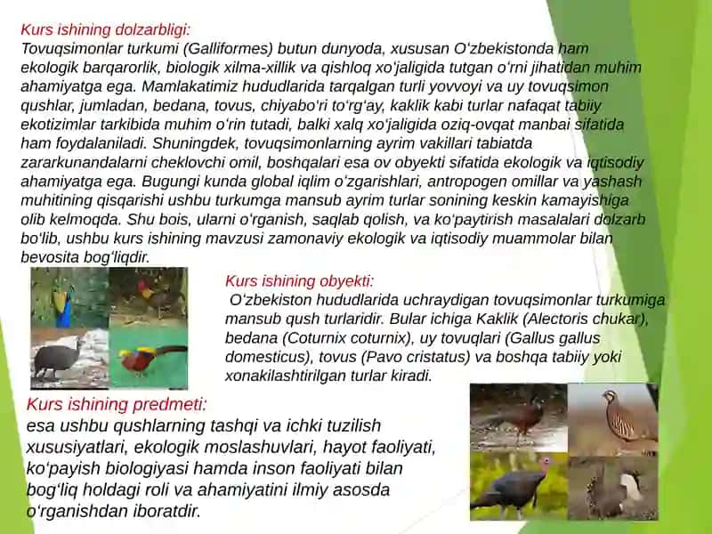 Tovuqsimonlar Biologiyasi 4