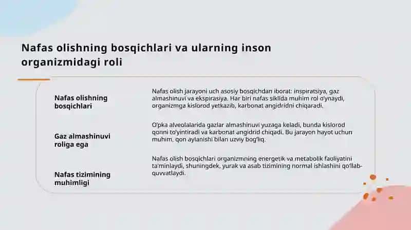 Nafas olish jarayoni. Nafas a’zolarining rentgenanatomiyasi va rivojlanish nuqsonlari. 4