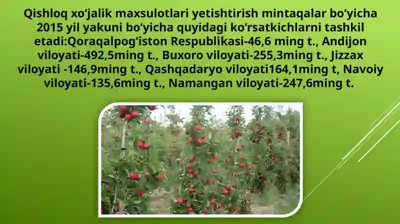 O‘zbekiston Respublikasi viloyatlarida intensiv mevali ekinlar tarqalgan zonalarga qisqacha tavsifnoma berish 4