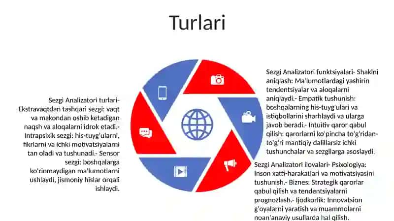 Sezgi Analizatori 4
