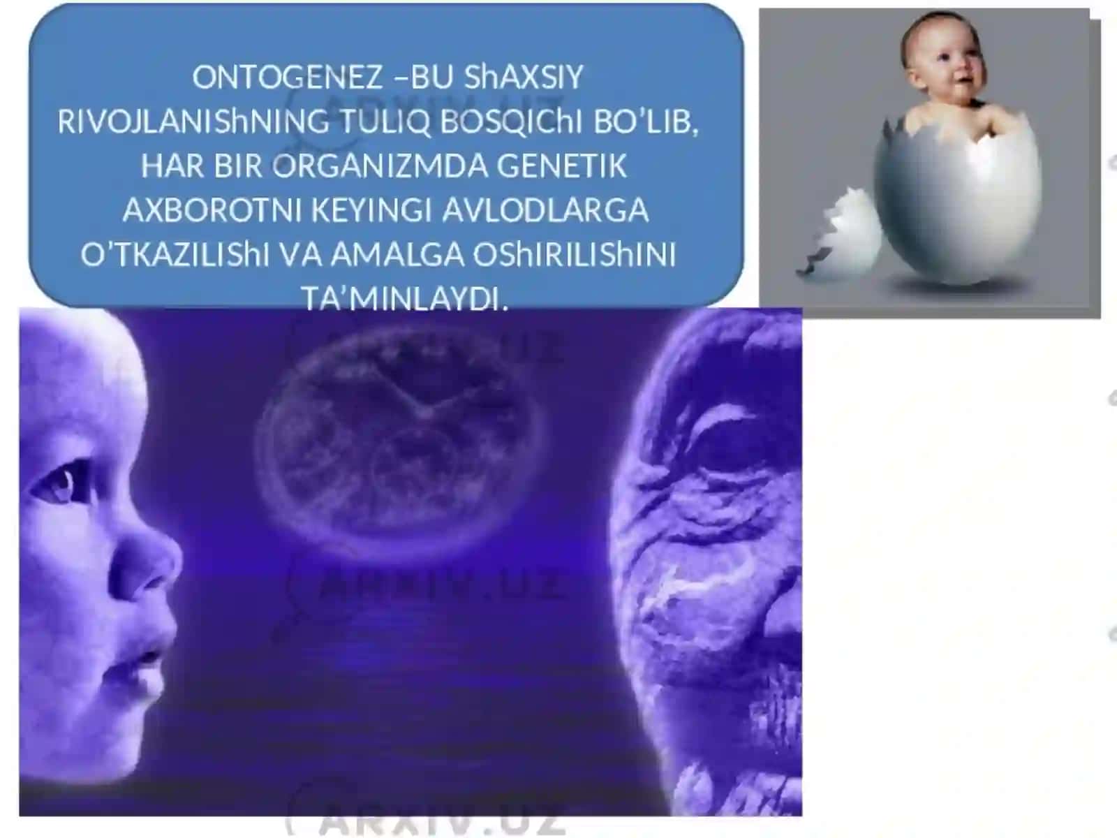 Individual rivojlanishning umumiy qonuniyatlari 4