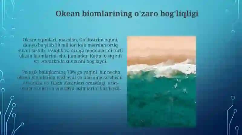 Dunyo okeani biomlari 4