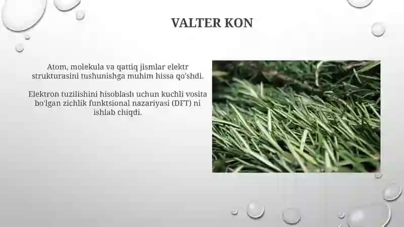 Kvant kimyosiga xissa qoʻshgan olimlar 4