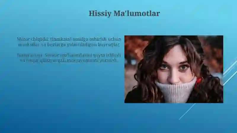 Oliy nerv faoliyatining tiplari 4