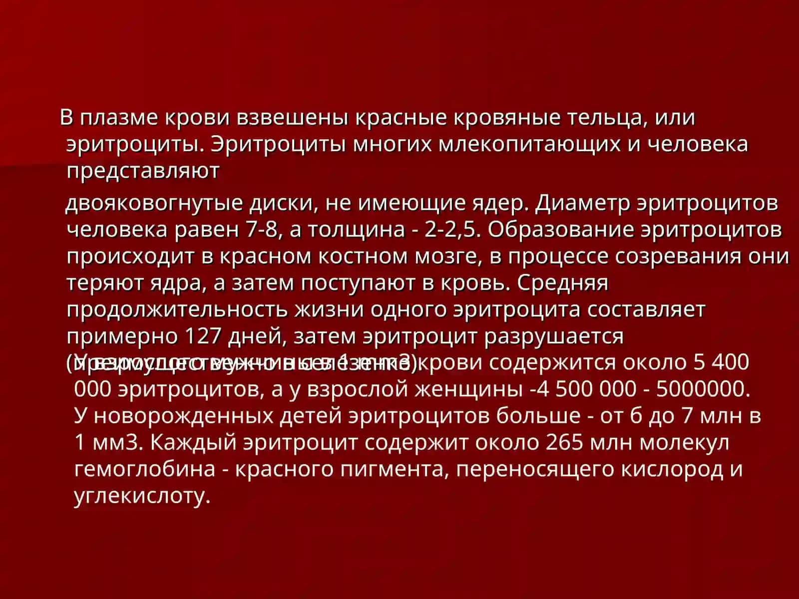 Кровеносная система 4