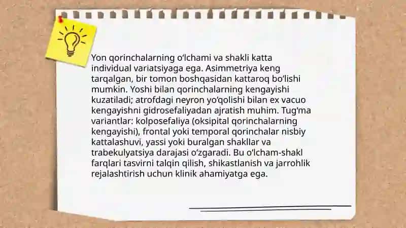 Yon qorinchalarning variant anatomiyasi klinik ahamiyati 4