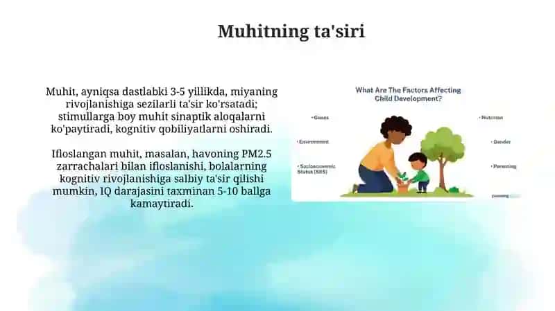 Qobiliyat rivojlanishiga ta'sir qiluvchi omillar 4